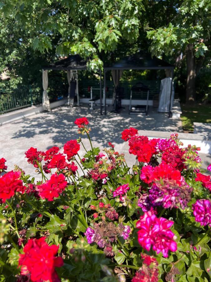 Villa Albina Rome Luaran gambar