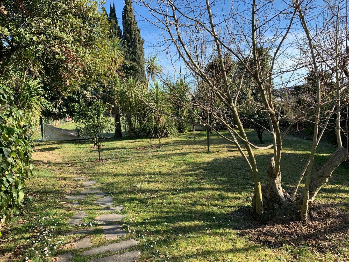 Villa Albina Rome Luaran gambar